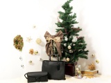 〈コーチ〉COACH HOLIDAY 2023