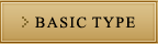 BASIC TYPE