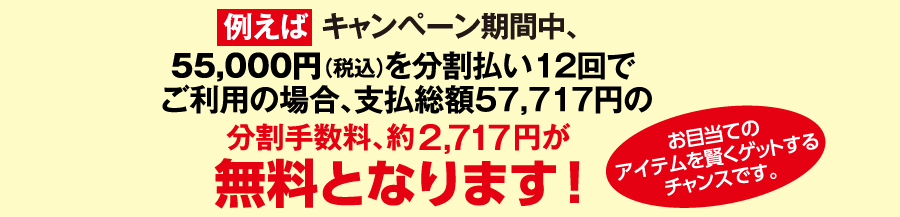 [例えば]キャンペーン期間中、55,000円(税込)を分割払い12回でご利用の場合、支払総額57,717円の分割手数料、約2,717円が無料となります！お目当てのアイテムを賢くゲットするチャンスです。