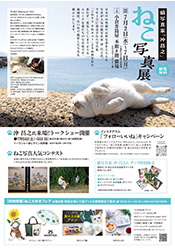 猫写真家「沖昌之」ねこ写真展