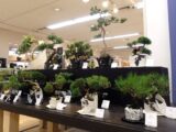 【7月9日週の小倉井筒屋♪】多彩なお買い得が揃う３つの催事に、館内は今の季節にワクワクするアイテムが続々です！