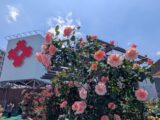 【5月8日週の小倉井筒屋♪】満開〈春のばら展〉から5つの人気催事、多彩な期間限定ショップまで今週も盛りだくさん!